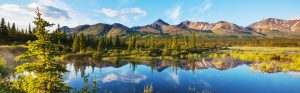 travel agency Massachusetts
